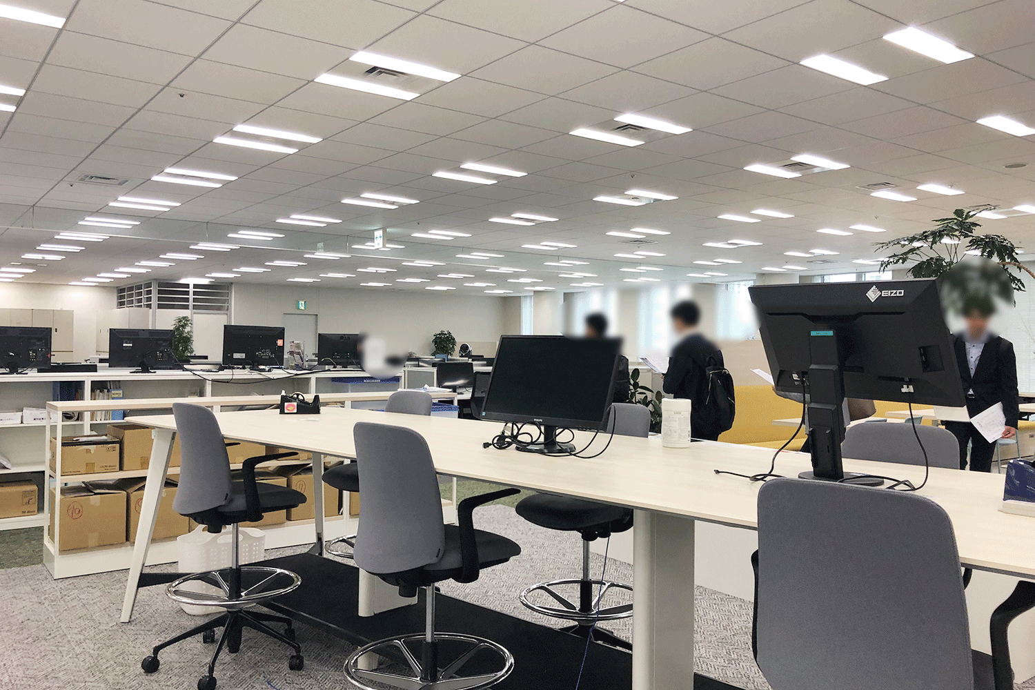記事の画像